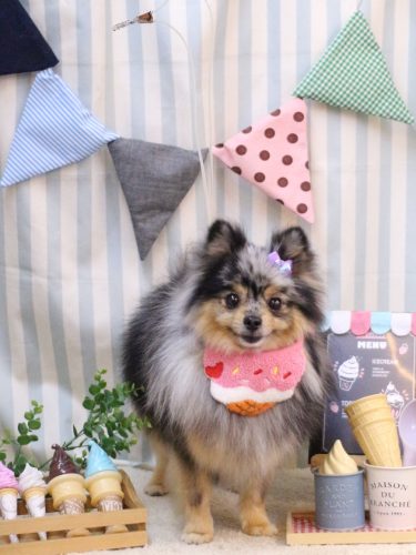 20250504ろあちゃん